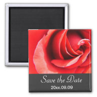 save the date, red rose flower refrigerator magnet