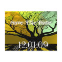 Save The Date - Roots postcards by samack Save The Date - Roots postcards