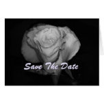 Save The Date Rose Flower Card