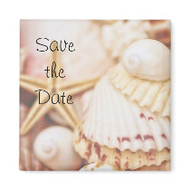 Save the Date Seashell Magnet