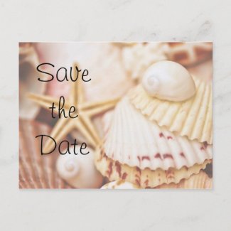 Save the Date Seashell Postcard