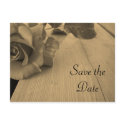 Save the Date Sepia Rose Postcard