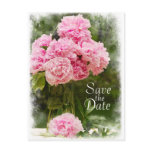 Save the Date Soft Edged Pink Bouquet Postcard