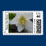 Save the Date Stamps stamps