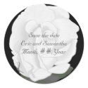 Save the date stickers, white rose, wedding sticker