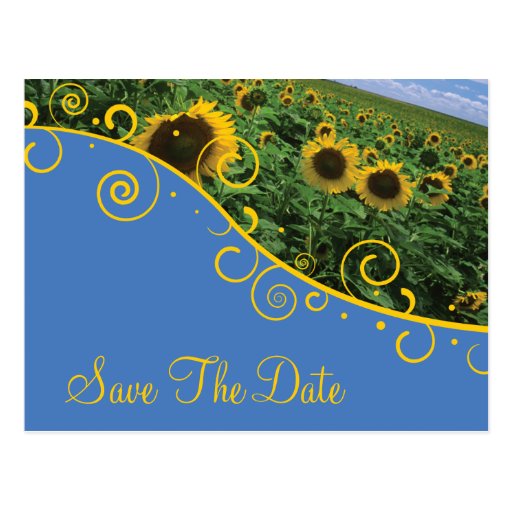 Save The Date Sunflowers Postcard Zazzle 