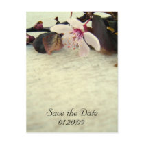 Save the Date Vintage Cherry Blossom Postcard