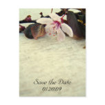 vintage, love, pink, cherry, blossom, sky,