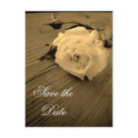 Save the Date Vintage Sepia White Rose Postcard