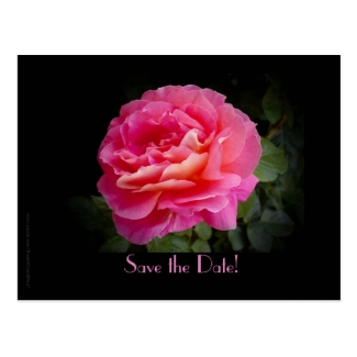 Save the Date Vow Renewal Ceremony Pink Rose