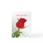 Save the Date Wedding Announcement cards