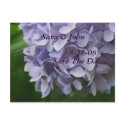 Save The Date Wedding Hydrangea Flower Postcard postcard
