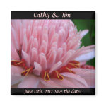 Save the Date Wedding Magnets Pink Ginger magnet