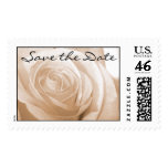 Save the Date Wedding Postage Stamp