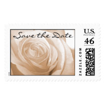 Save the Date Wedding Postage Stamp