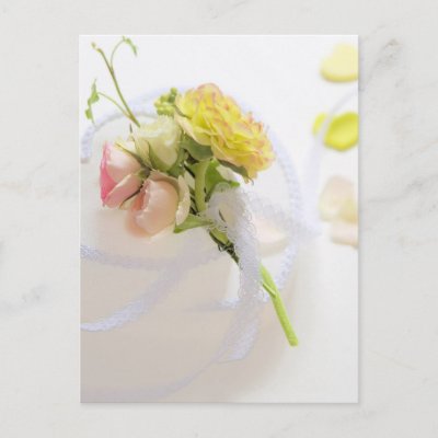 Save The Date Wedding Postcards