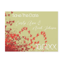 Save the Date Wedding Postcards