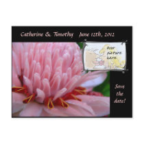 Save the Date Wedding Postcards Custom Photo by naturalilly Save the Date Wedding Postcards Custom Photo