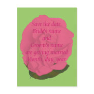 Save the date wedding postcards, pink rose postcard