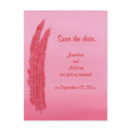 Save the date wedding postcards, Red Pink Feathers postcard