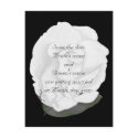 Save the date wedding postcards, white rose postcard