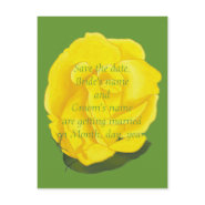 Save the date wedding postcards, yellow rose postcard