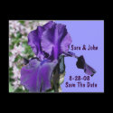 Save The Date Wedding Purple Iris Flower Postcard