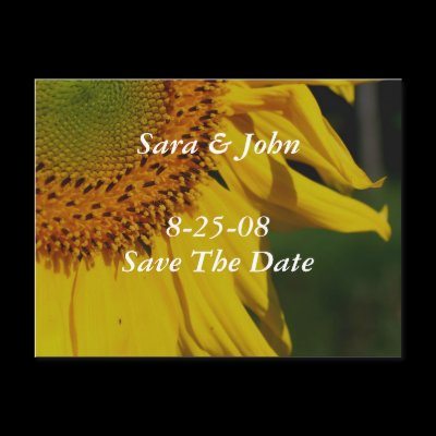 Save The Date Wedding Sunflower Flower Postcard by SmilinEyesTreasures