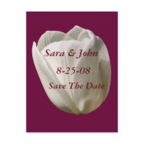 Save The Date Wedding White Tulip Flower Postcard