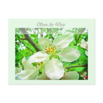 Save the date - white cherry blossom postcard
