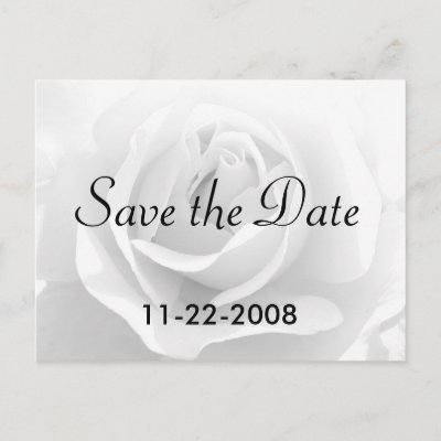 Save the Date White Rose Post Card