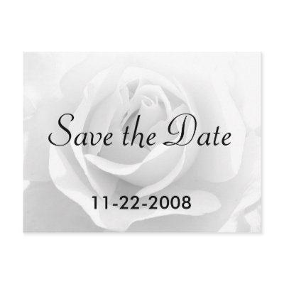 Save the Date White Rose Post Card