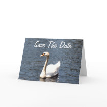 Save The Date white swan cards