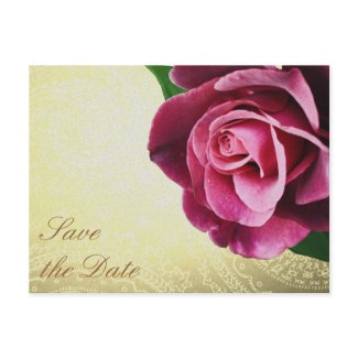 Save the Date Wine Colored Rose Postcard postcard