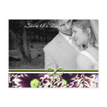 Save The Date with Your Photos postcards