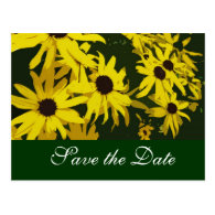 Save the Date, yellow daisy flowers Post Cards