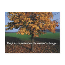 save the dates postcards