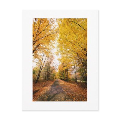 Save The Dates Wedding Picture Fall Autumn Postcard
