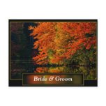Save The Dates Weddings Photo Card postcards