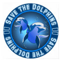 Save the Dolphins posters by novaideo Save the Dolphins posters