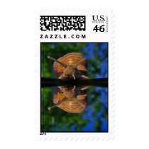 Save the Earth Stamps