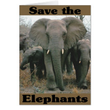 Save the Elephants Greeting Card