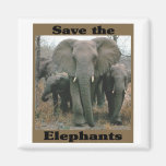 Save the Elephants Magnet