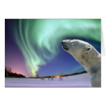 Save the Endangered Polar Bears for Christmas Card