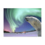 Save the Endangered Polar Bears for Christmas Post Card