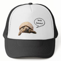 Save the Environment hats