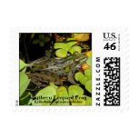 Save the Frogs - Leopard Frog Stamp