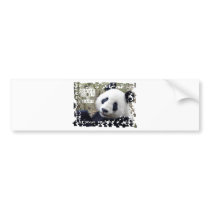 Save The Giant Panda Bumper Stickers