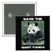 Save the Giant Panda Pinback Buttons