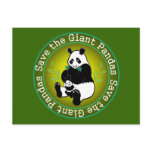 Save the Giant Pandas Postcard
